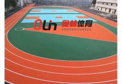 務(wù)本中小學(xué)校運(yùn)動(dòng)場(chǎng)_戶(hù)外運(yùn)動(dòng)地面案例_廣東