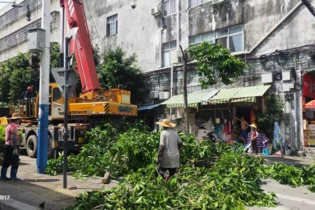 西區(qū)街道：開(kāi)展全路域環(huán)境整治，助力文明城市創(chuàng)建