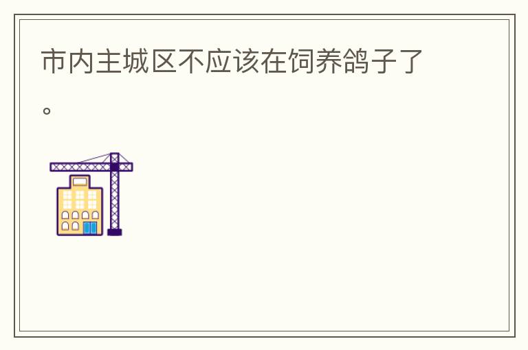 市內(nèi)主城區(qū)不應(yīng)該在飼養(yǎng)鴿子了。