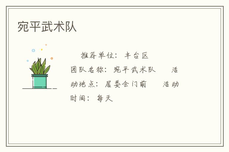 宛平武術隊