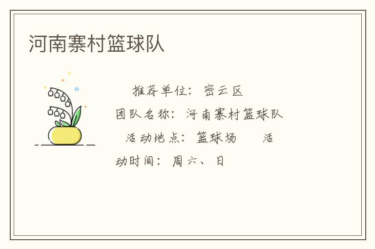 河南寨村籃球隊