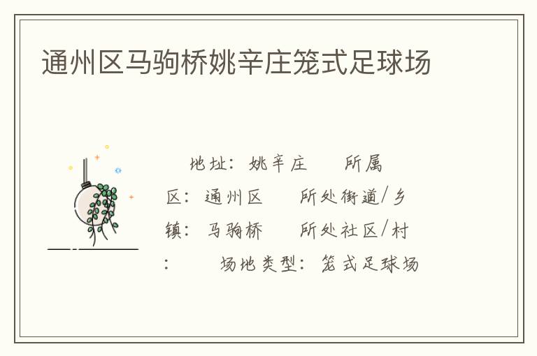 通州區(qū)馬駒橋姚辛莊籠式足球場(chǎng)