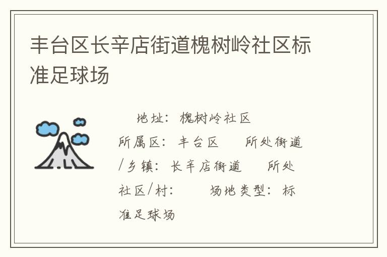豐臺(tái)區(qū)長辛店街道槐樹嶺社區(qū)標(biāo)準(zhǔn)足球場(chǎng)