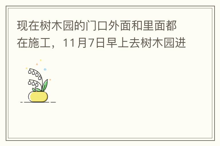 現(xiàn)在樹木園的門口外面和里面都在施工，11月7日早上去樹木園進行戶外活動，在出入口都是非常大的灰塵，有挖掘機等機械在施工，但是周圍都是灰塵，施工方?jīng)]有做好防塵措施，而且我們走的時候，竟然還有一個人拿著掃