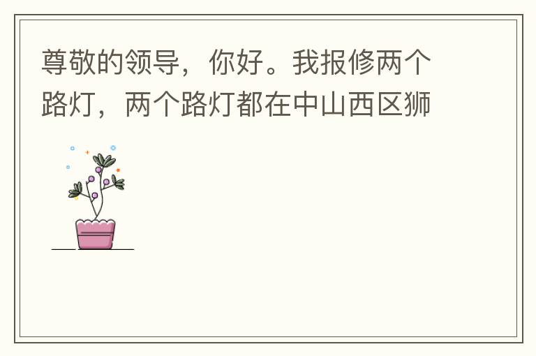 尊敬的領(lǐng)導(dǎo)，你好。我報(bào)修兩個路燈，兩個路燈都在中山西區(qū)獅滘口大橋。1.富華往濱江一號，下橋倒數(shù)第二支路燈已經(jīng)損壞。 2.濱江一號往富華方向，下橋最后一支路燈已經(jīng)損壞。麻煩及時修復(fù)，減少意外的發(fā)生。謝謝