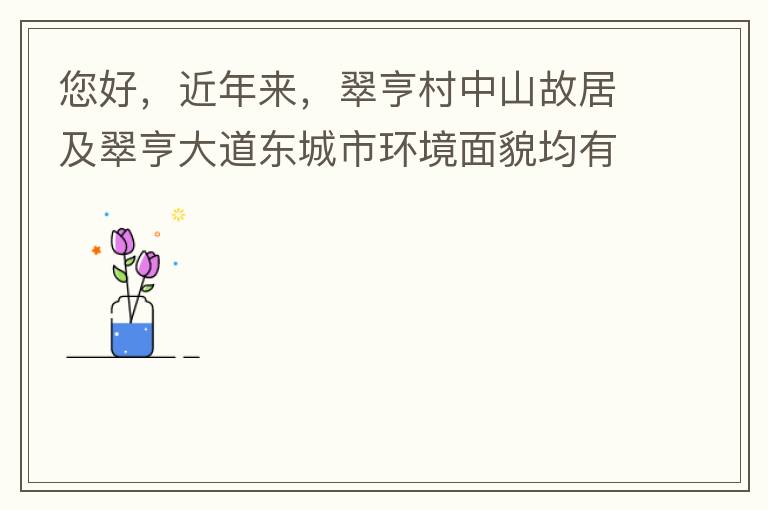 您好，近年來(lái)，翠亨村中山故居及翠亨大道東城市環(huán)境面貌均有所提升。但周邊環(huán)境仍然不夠理想，稍顯臟亂差，與5A風(fēng)景區(qū)的定位不相協(xié)調(diào)，望繼續(xù)盡快改善為宜。多謝