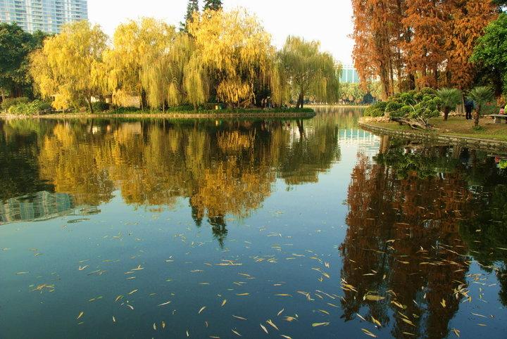 流花湖公園東北門（臨近陸軍總醫(yī)院、東方賓館）