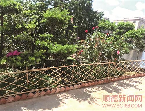 區(qū)城鄉(xiāng)品質(zhì)提升攻堅隊以督導推動問題整改