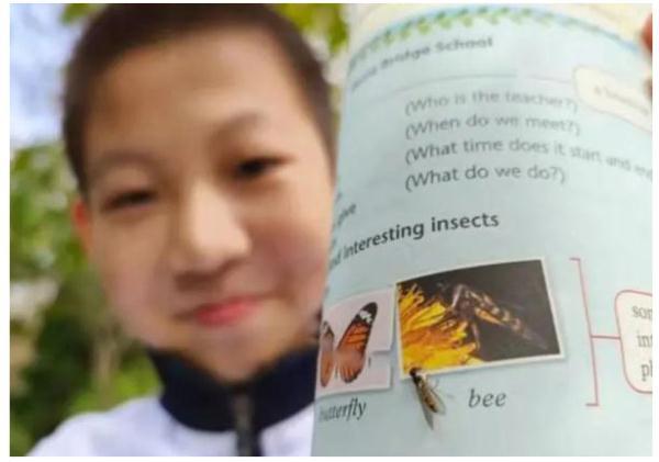 后生可畏！又有學(xué)生發(fā)現(xiàn)教科書錯誤，這次是上海10后！