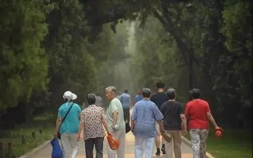 開放三胎政策“遇冷”，廈大教授提議：不生孩子就下調(diào)養(yǎng)老金