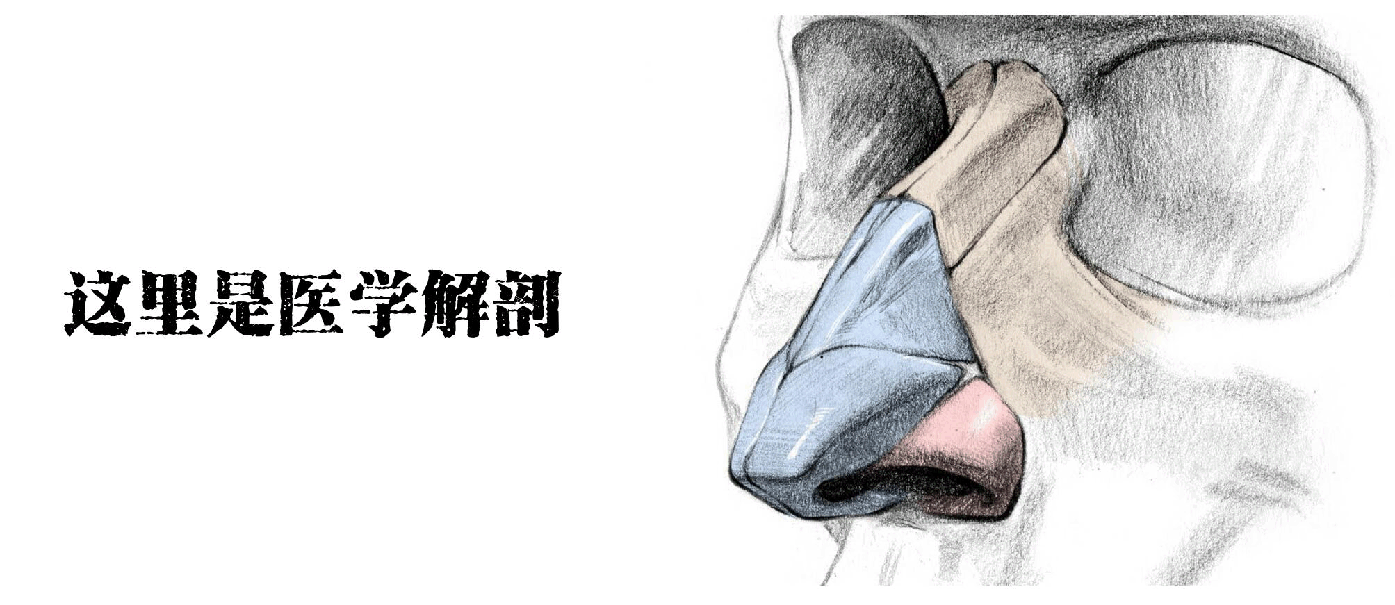 醫(yī)學生的考試到底有多難？看把學生都逼成啥樣了