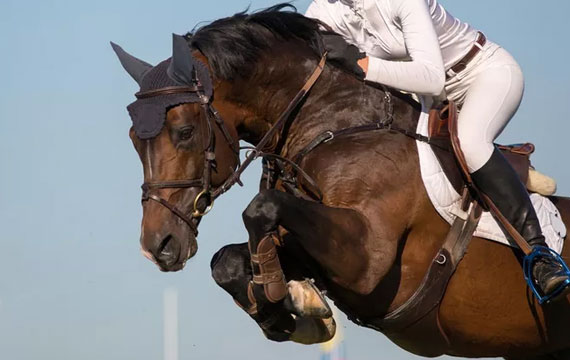 超級馬術俱樂部聯(lián)賽暨北京馬協(xié)青少年馬術巡回賽（北京天星調良馬術第二站）