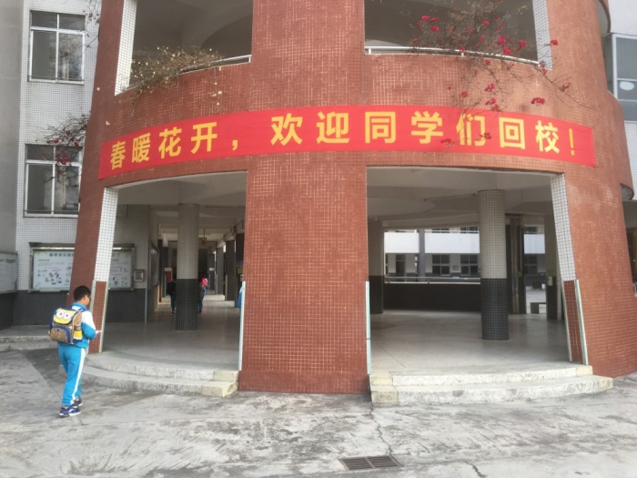 陽光雍?。杭t領(lǐng)巾心向黨 向陽向上生長