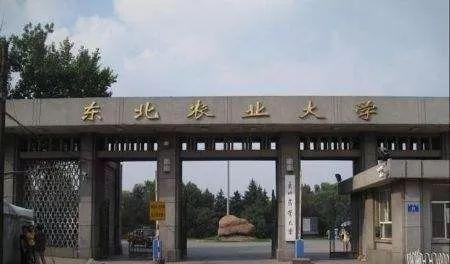 兩校合并，黑龍江將迎來(lái)一所新大學(xué)？教育廳有明確回復(fù)，值得期待