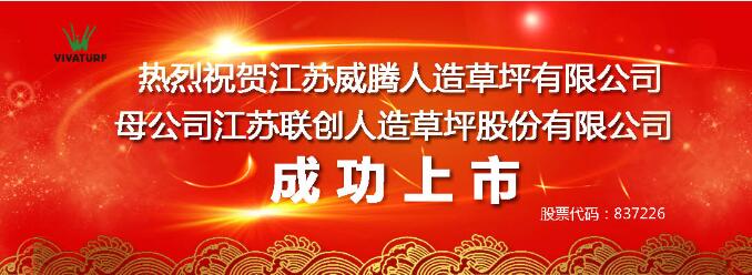 人造草皮中國(guó)一家上市企業(yè)