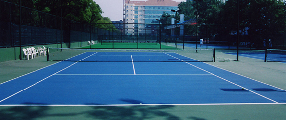 <a href=http://m.taijiali.cn target=_blank class=infotextkey>丙烯酸</a>球場廠家