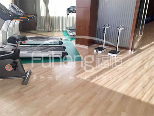 <a href=http://m.taijiali.cn target=_blank class=infotextkey>健身</a>房木地板-10fd