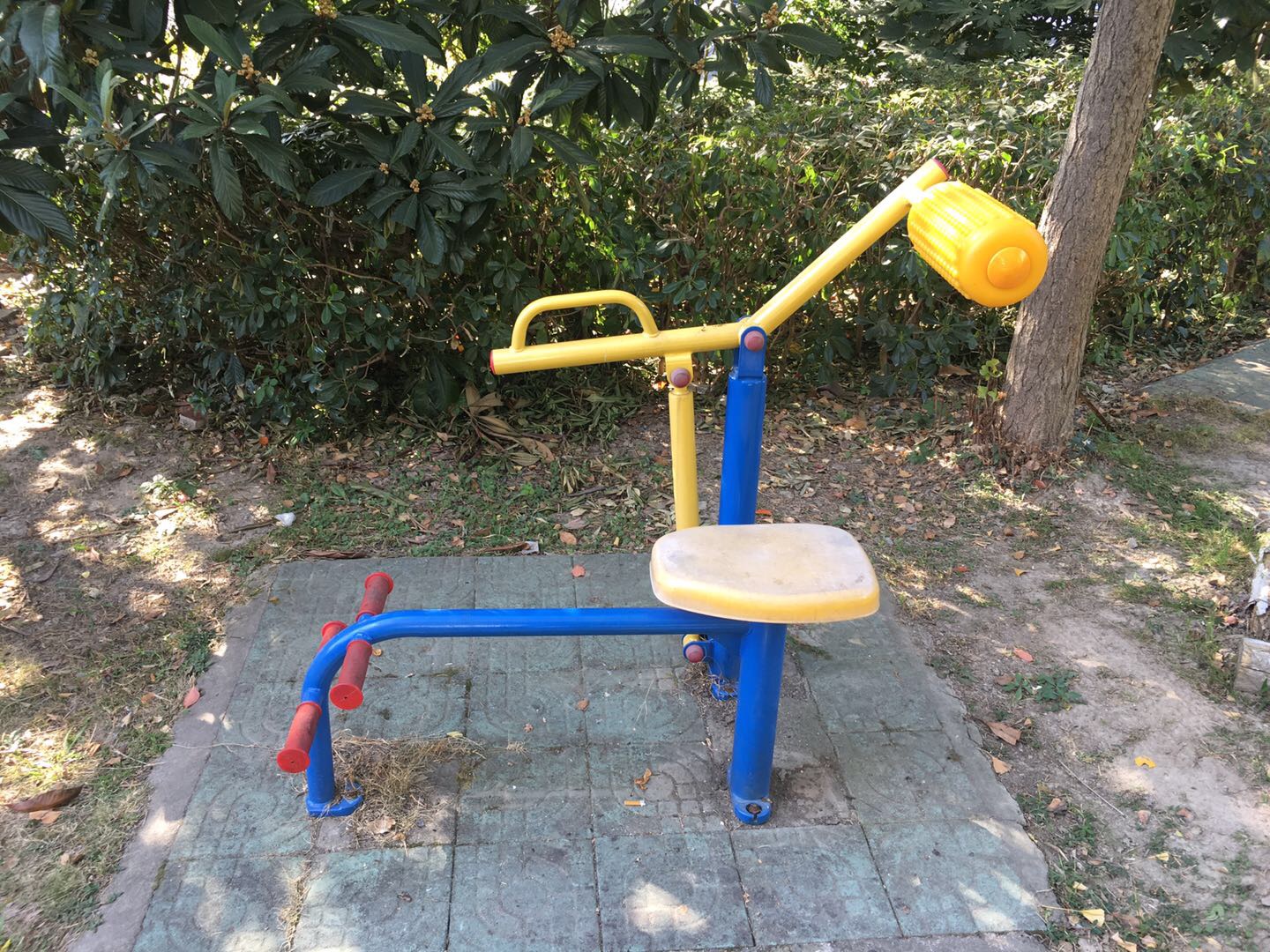 腹背鍛煉器