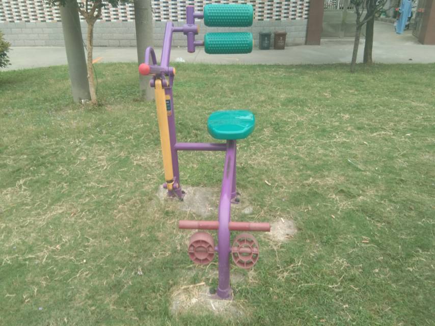 雙立柱腹背訓練器