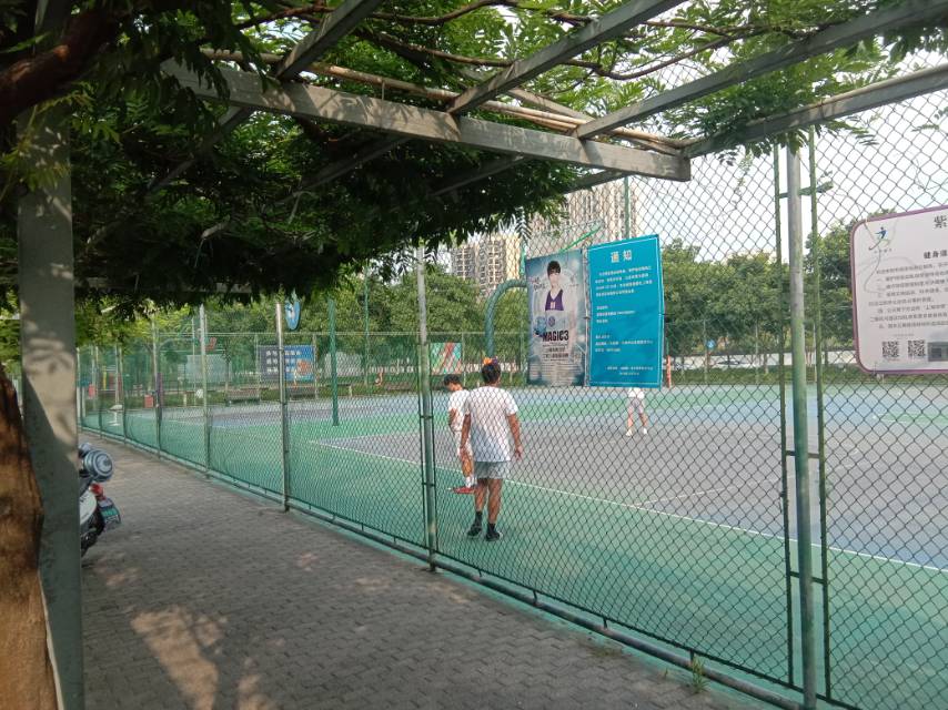 紫氣東來運動場