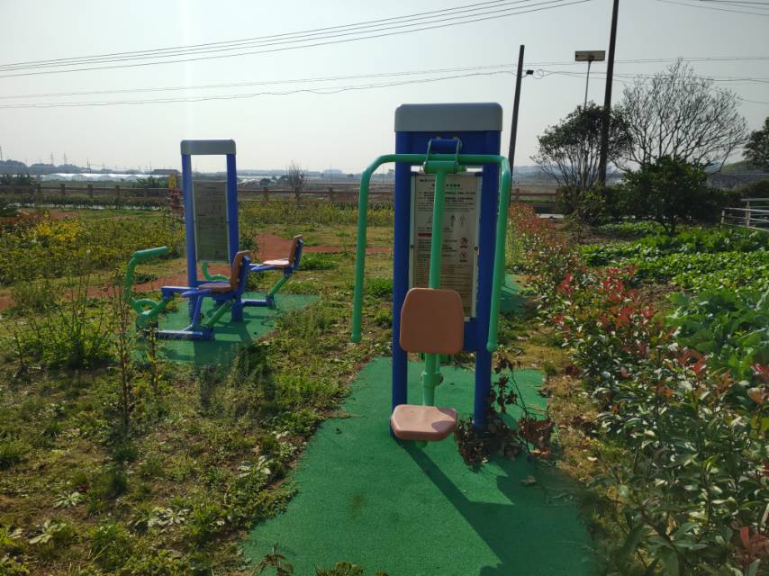 洼港村三組黨建微公園市民益智健身點