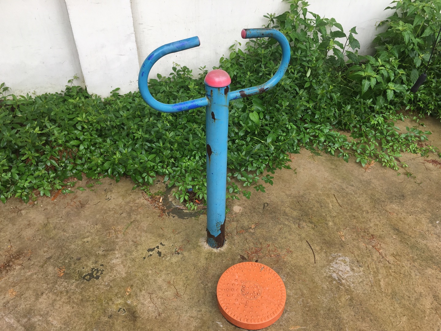 扭腰器