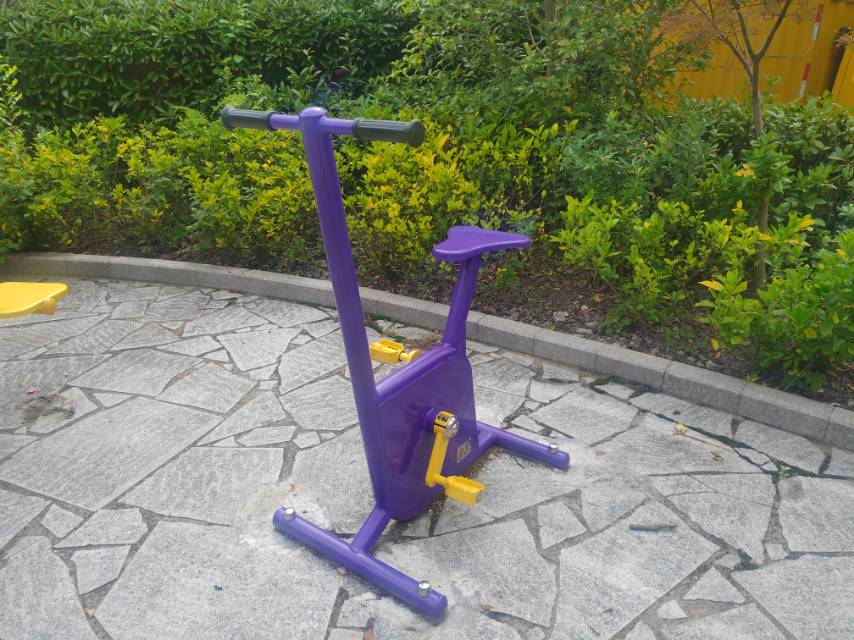 雙位健身車