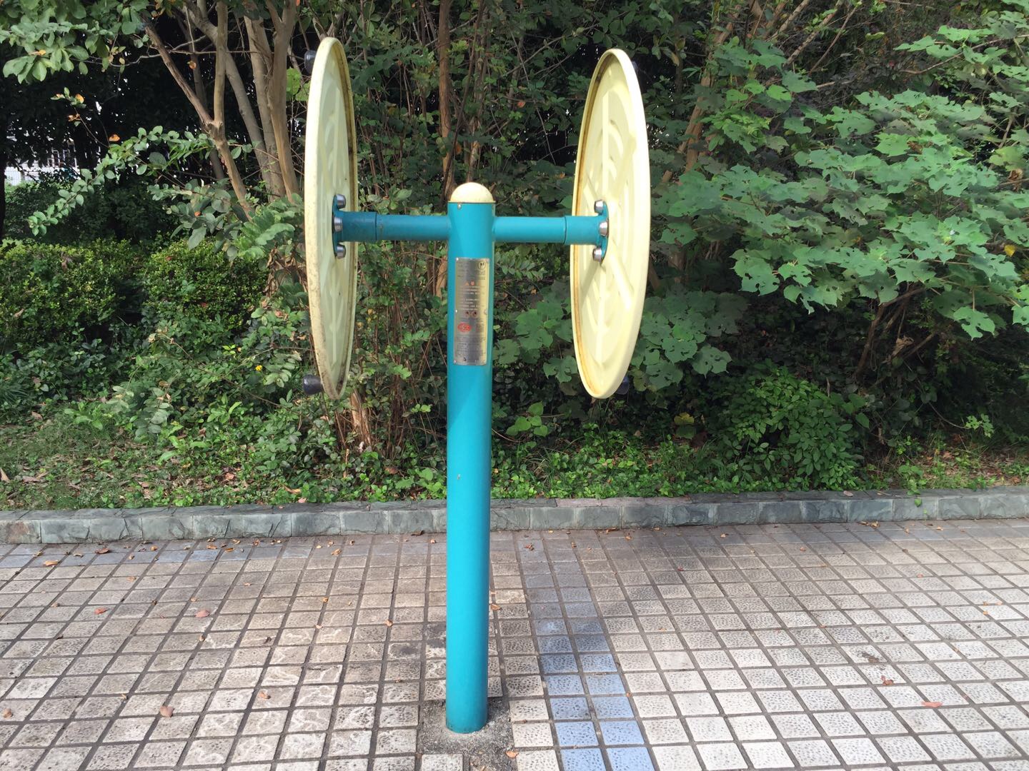 太極大轉輪