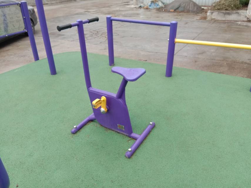 雙位健身車