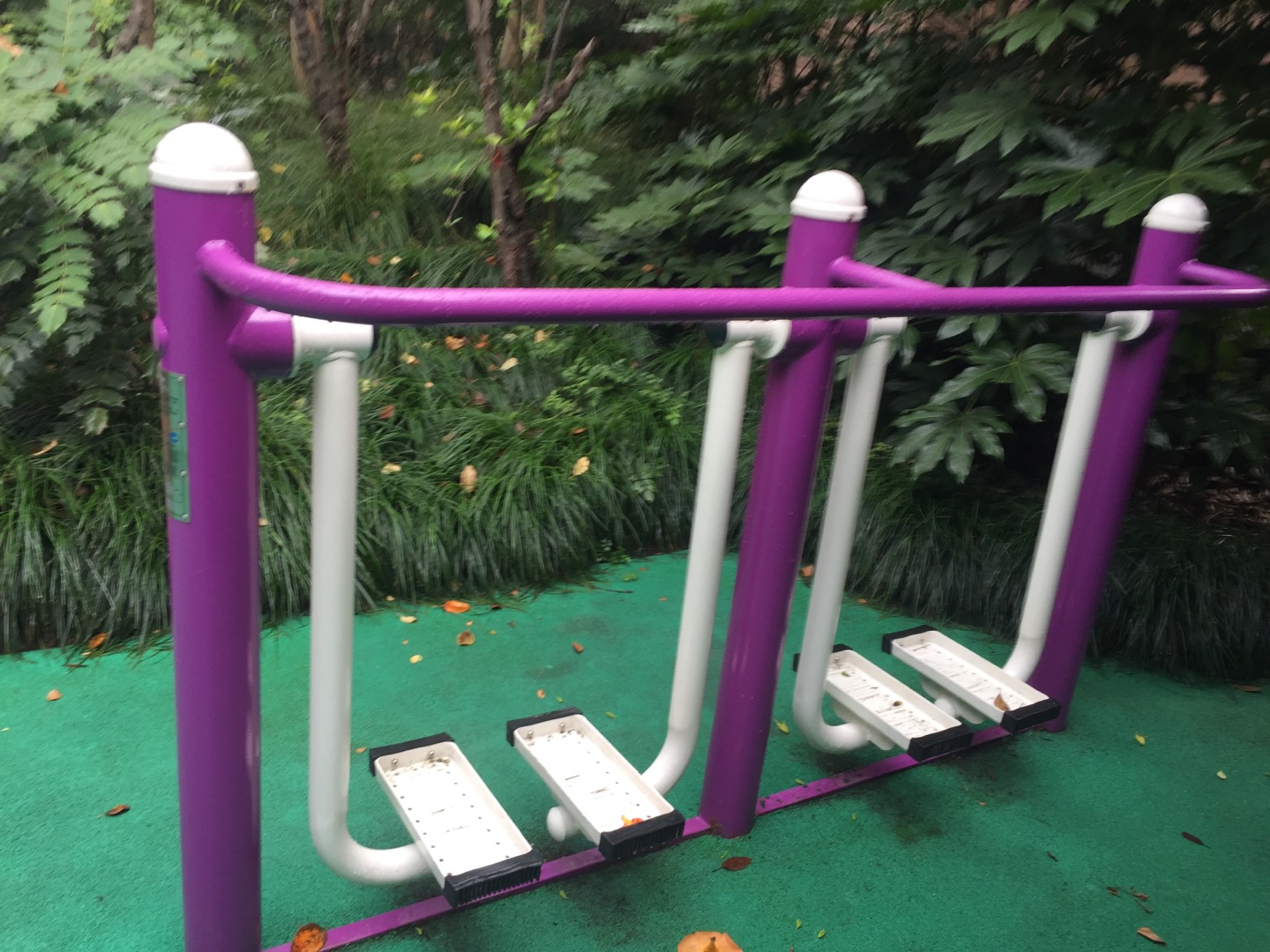 雙位漫步機(jī)