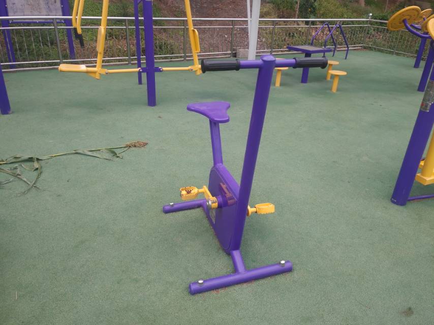 雙位健身車