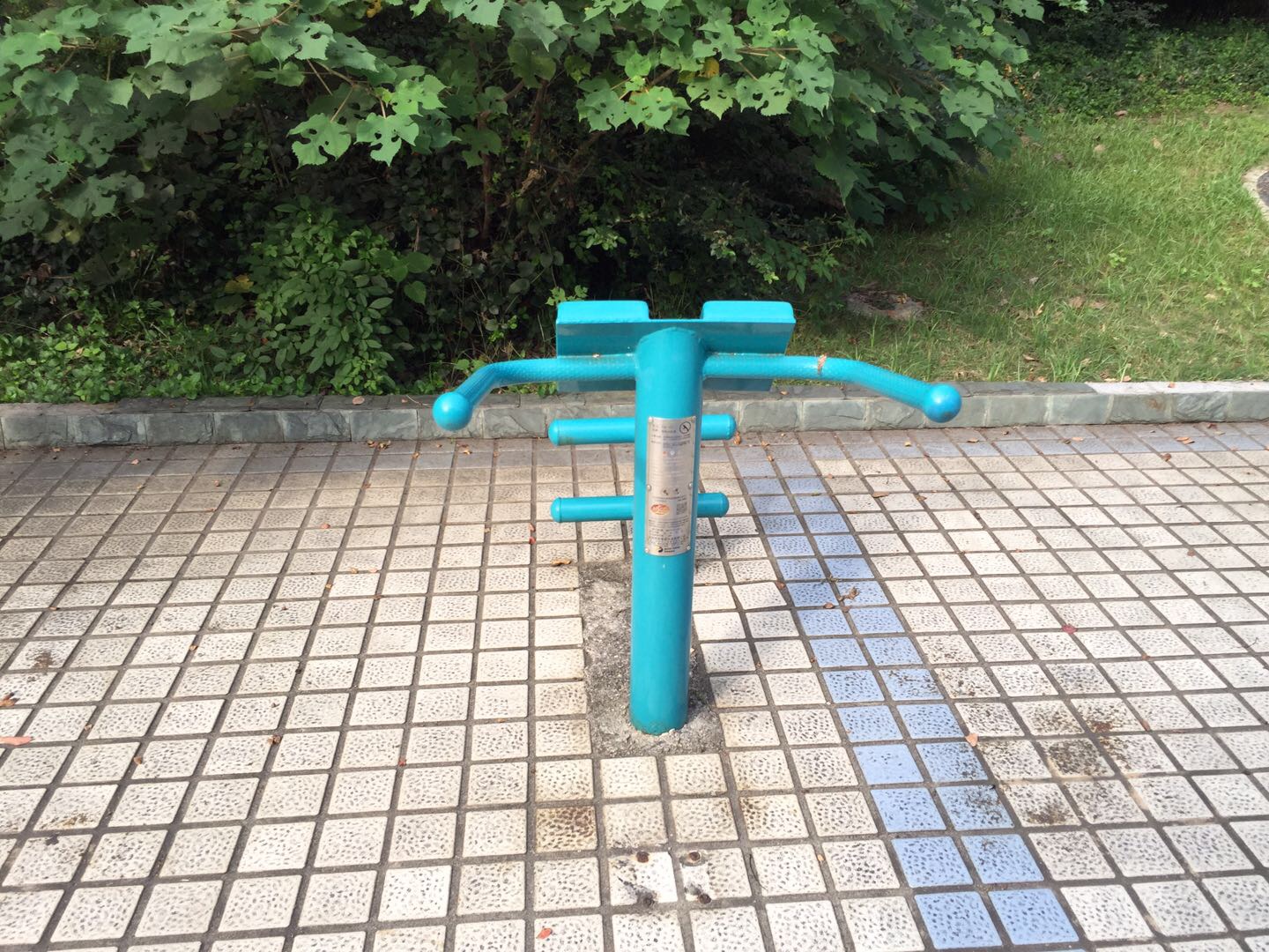 背肌訓練器