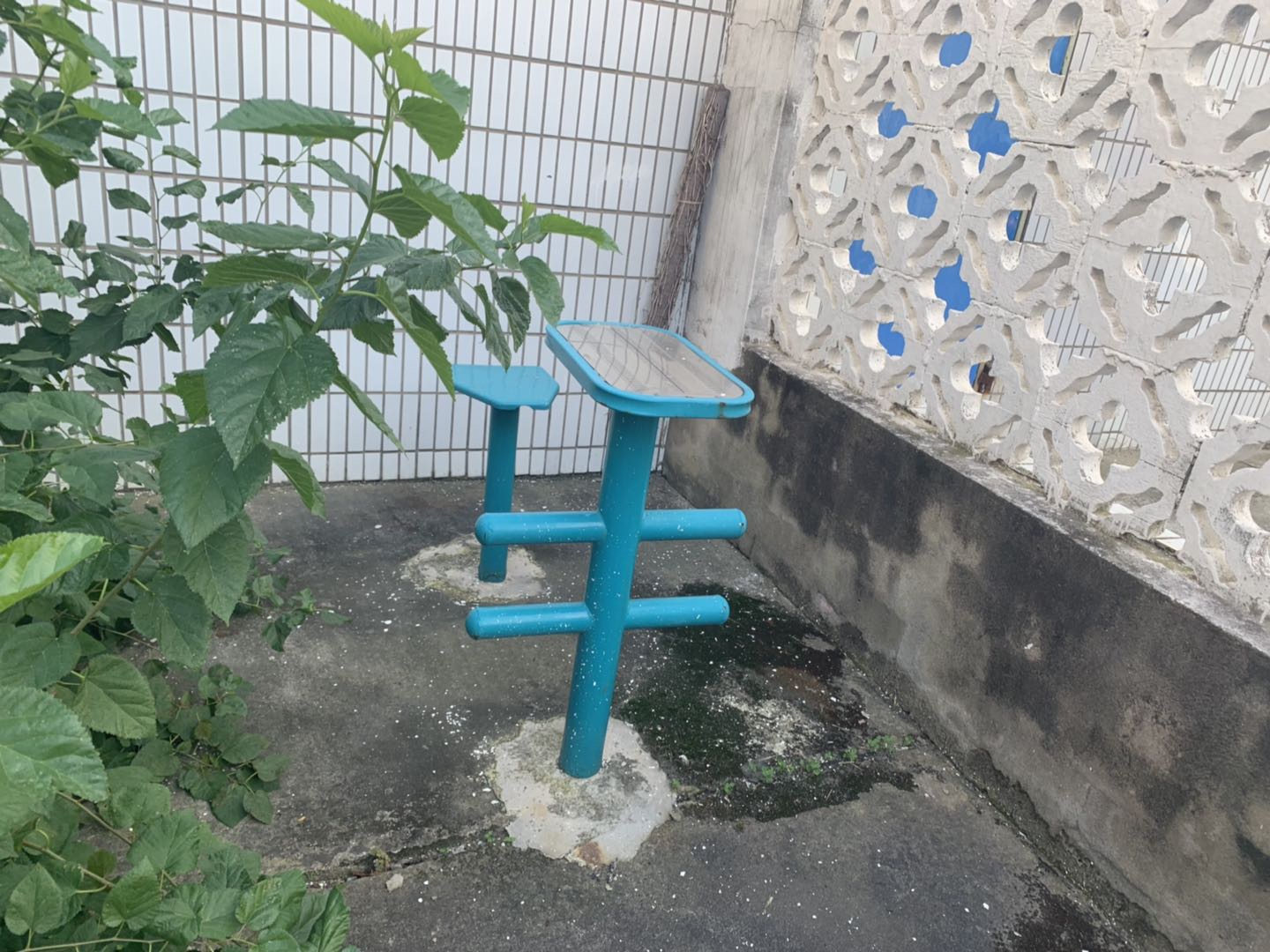 柔韌訓練器