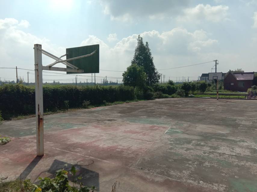 新浜籃球場