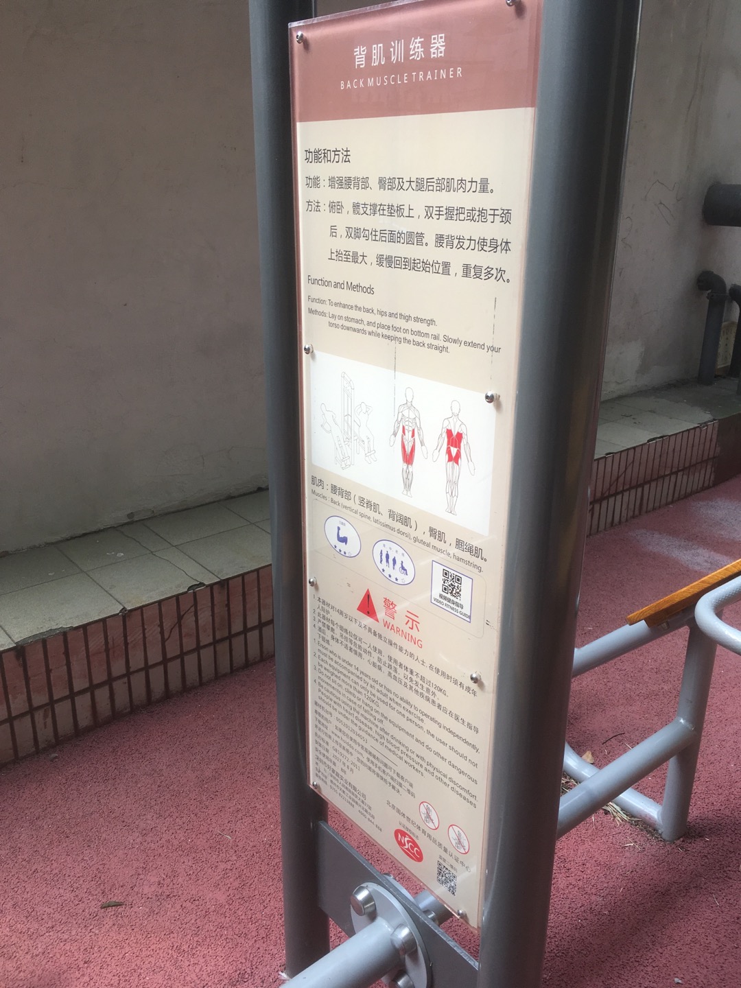 背腹肌訓(xùn)練器
