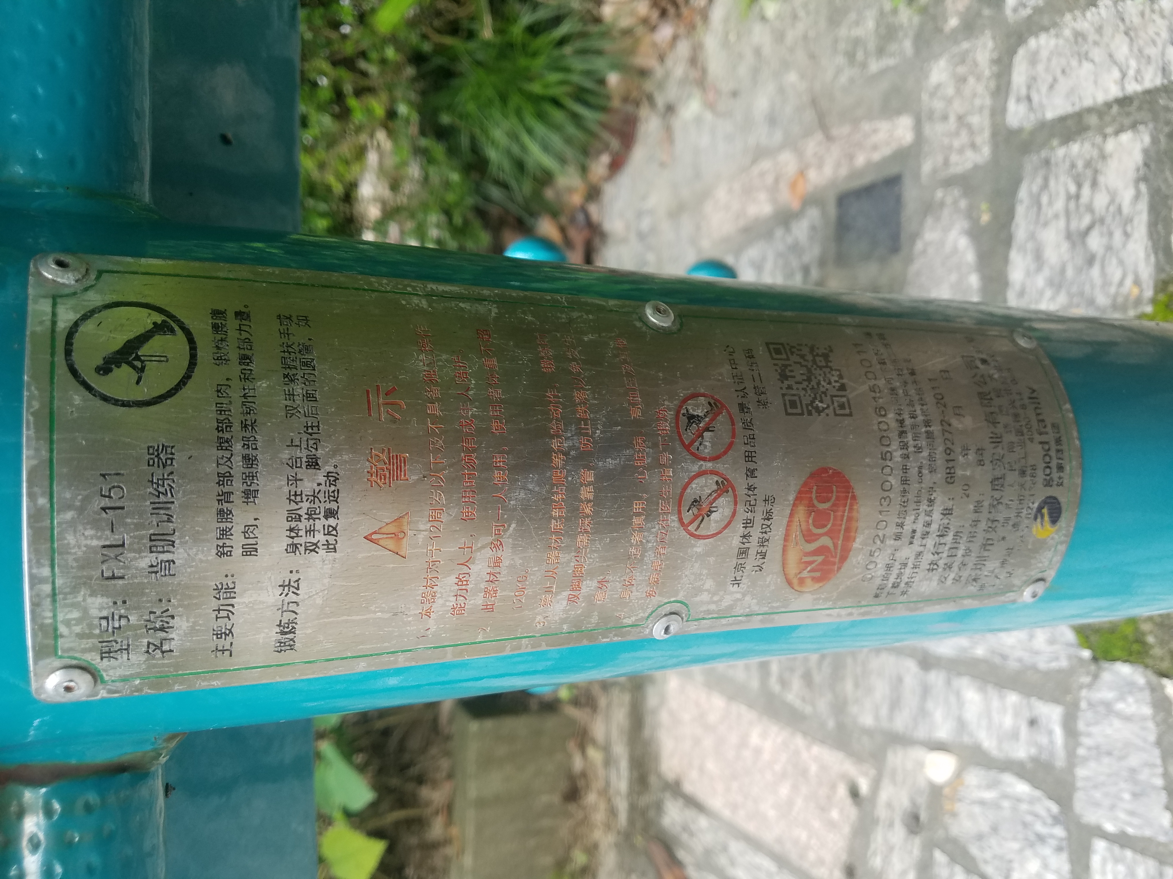 背肌訓(xùn)練器