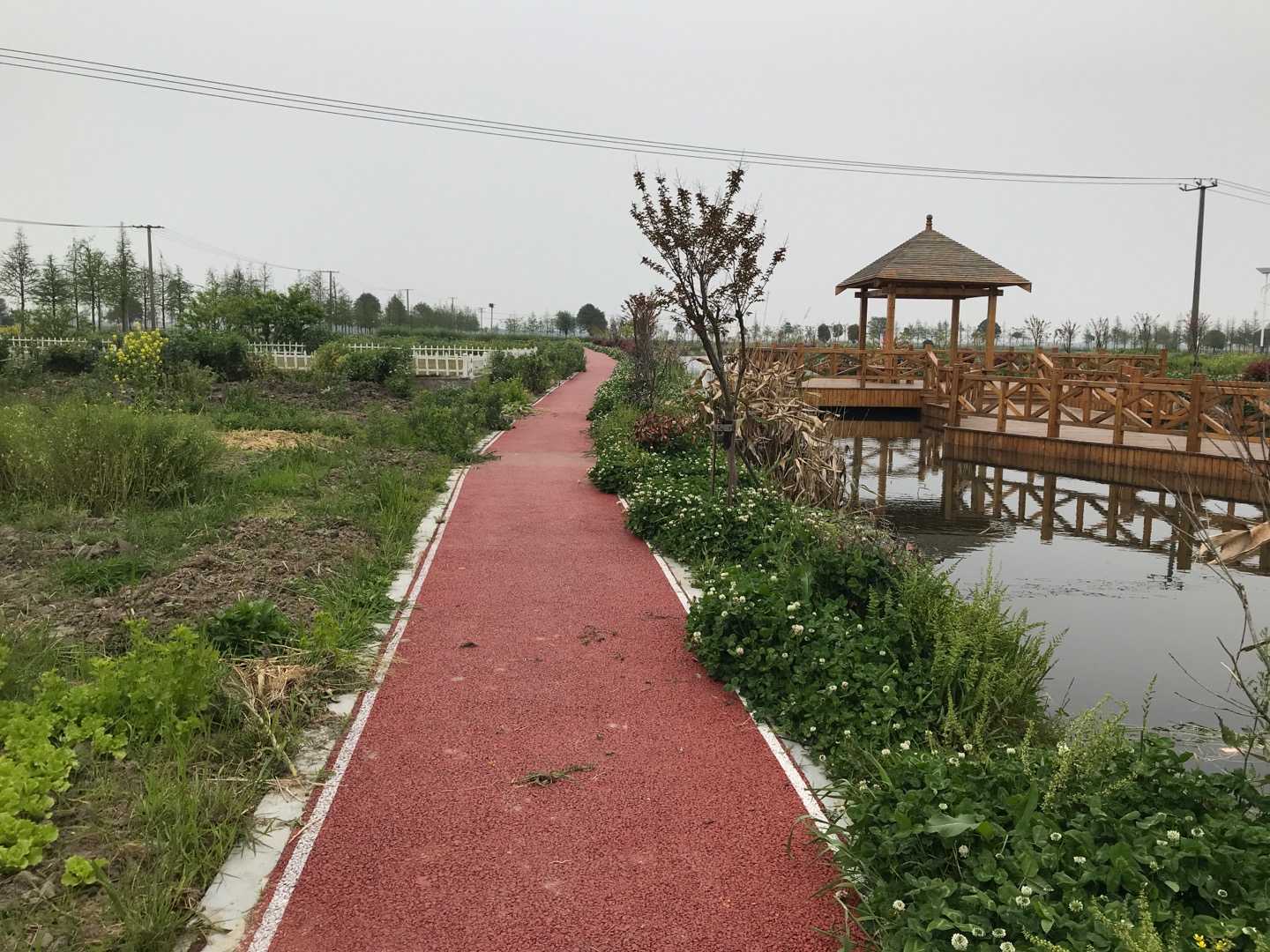 金澤鎮(zhèn)雙祥村健身步道