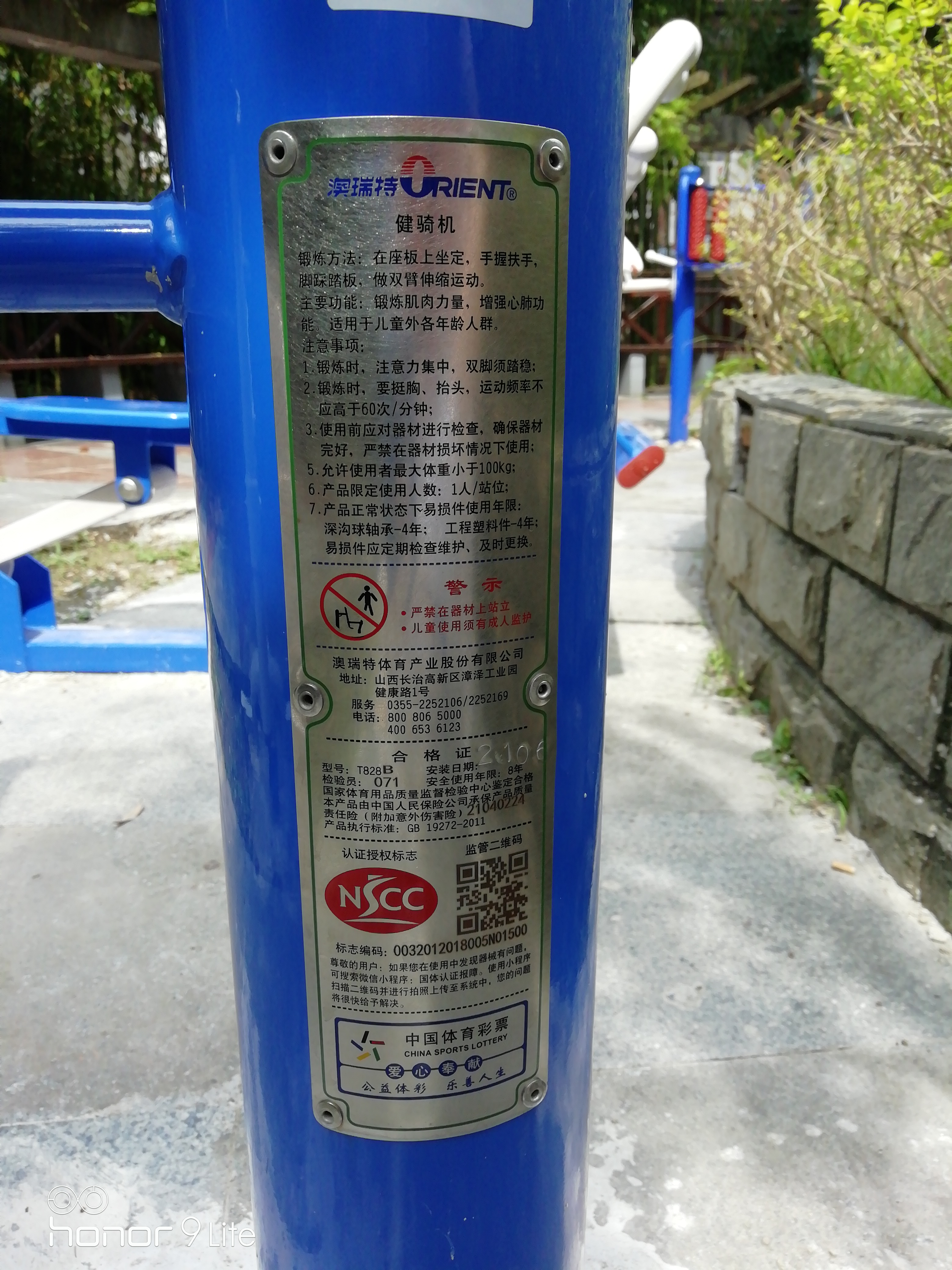 腰力訓(xùn)練器