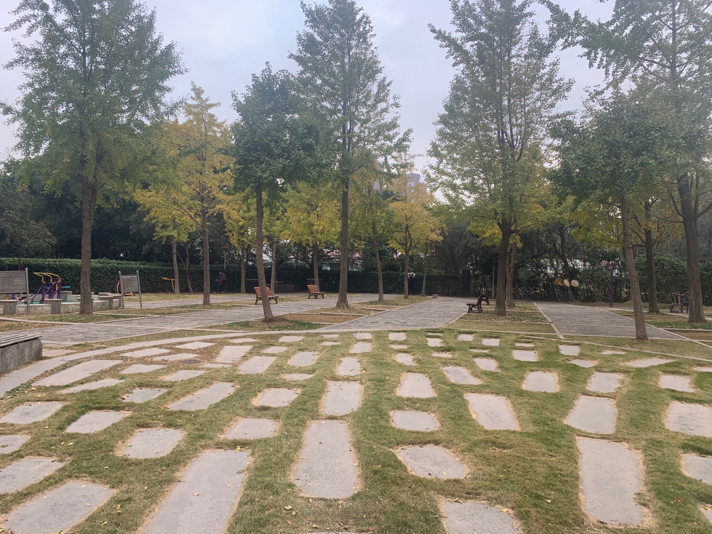 聯(lián)洋花園一期健身點(diǎn)